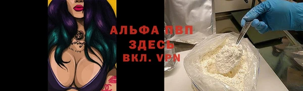 дживик Арсеньев