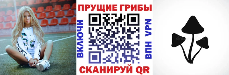 Псилоцибиновые грибы MAGIC MUSHROOMS сколько стоит omg сайт Ясногорск